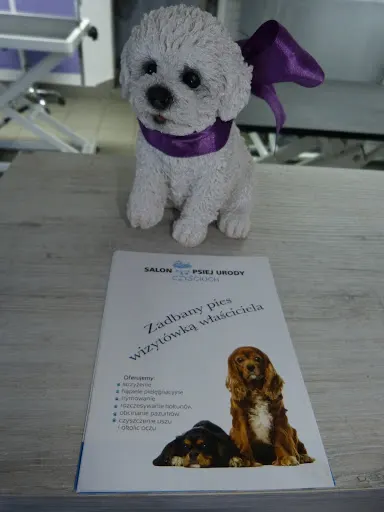 Salon Psiej Urody Czyścioch